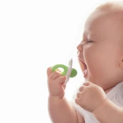 MAM Beißring Bite & Relax Phase 1 - Grün -Wickeln Verkaufsladen mam beissring bite relax phase 1 grun 66668120 d2